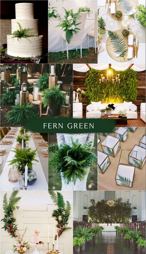 fern green wedding color ideas