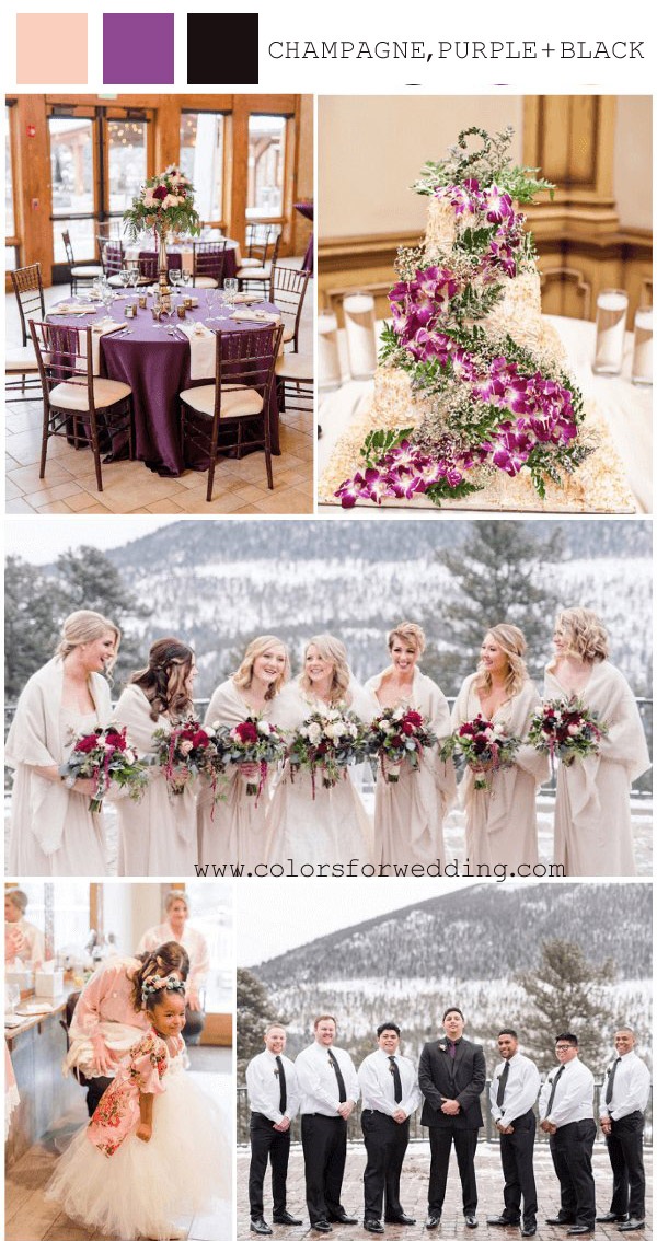 champagne purple and black february wedding colors